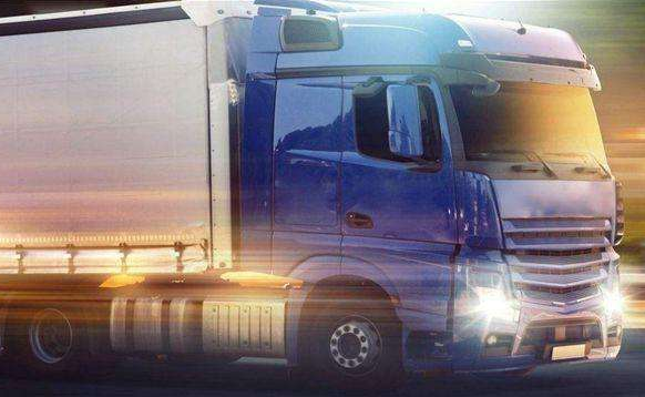 寵物托運(yùn)-鑫漢物流